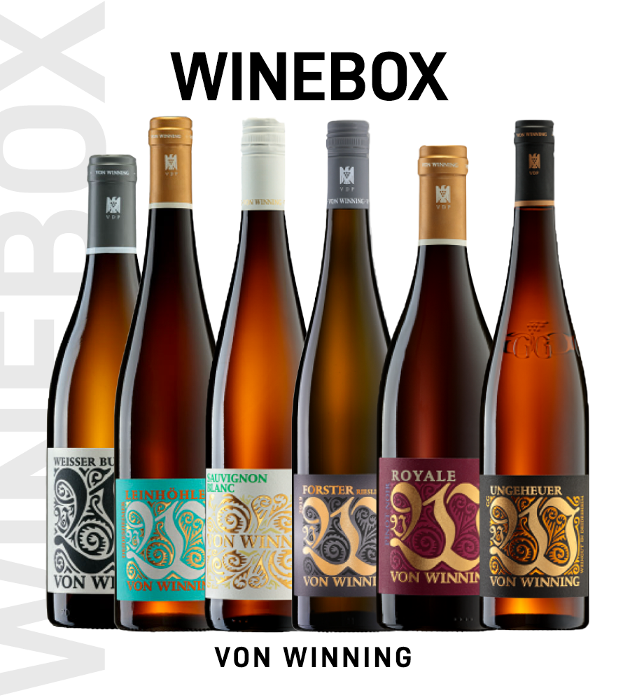 Wine Box Produtores Von Winning – 6 unidades