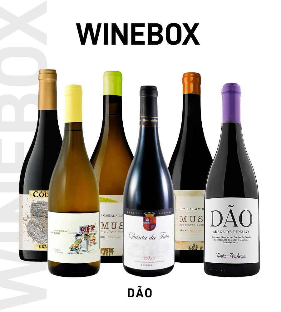 Wine Box Regiões Dão